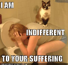 Funny Pictures cat on vomiting person